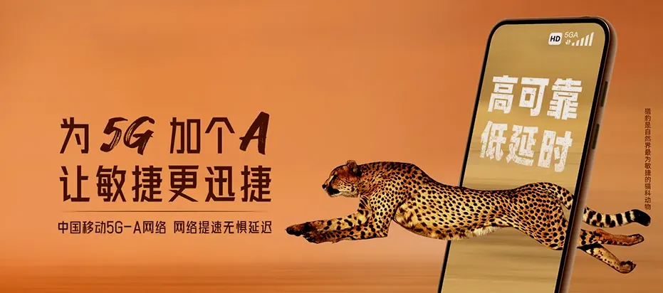 永春县永春县东关镇 移动宽带