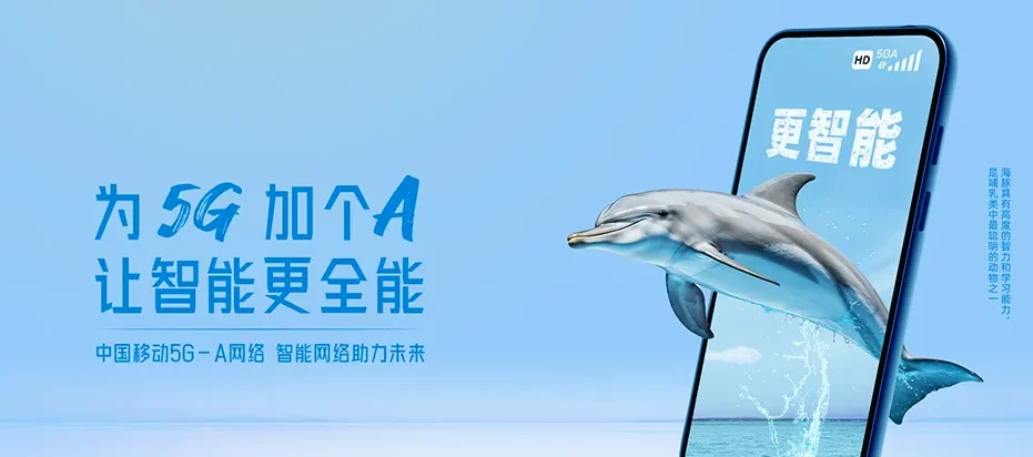 永春县永春县蓬壶镇 移动宽带